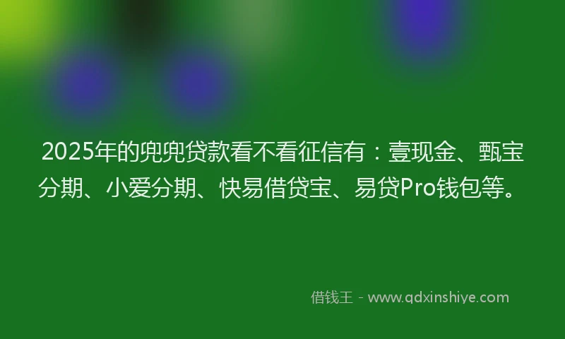 2025年的兜兜贷款看不看征信有：壹现金、甄宝分期、小爱分期、快易借贷宝、易贷Pro钱包等。