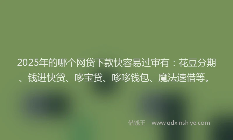 2025年的哪个网贷下款快容易过审有：花豆分期、钱进快贷、哆宝贷、哆哆钱包、魔法速借等。