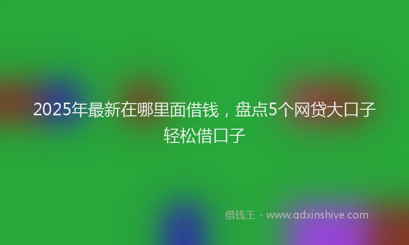 2025年最新在哪里面借钱，盘点5个网贷大口子轻松借口子
