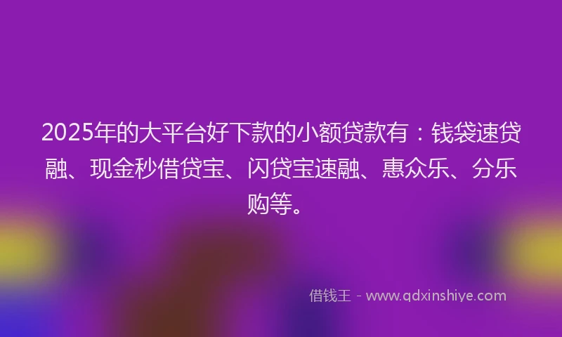2025年的大平台好下款的小额贷款有：钱袋速贷融、现金秒借贷宝、闪贷宝速融、惠众乐、分乐购等。
