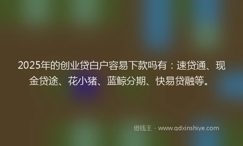 2025年的创业贷白户容易下款吗有：速贷通、现金贷途、花小猪、蓝鲸分期、快易贷融等。