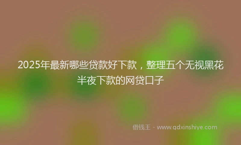 2025年最新哪些贷款好下款，整理五个无视黑花半夜下款的网贷口子