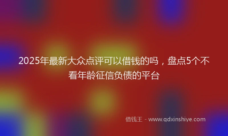 2025年最新大众点评可以借钱的吗，盘点5个不看年龄征信负债的平台