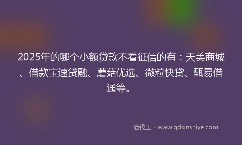 2025年的哪个小额贷款不看征信的有：天美商城、借款宝速贷融、蘑菇优选、微粒快贷、甄易借通等。