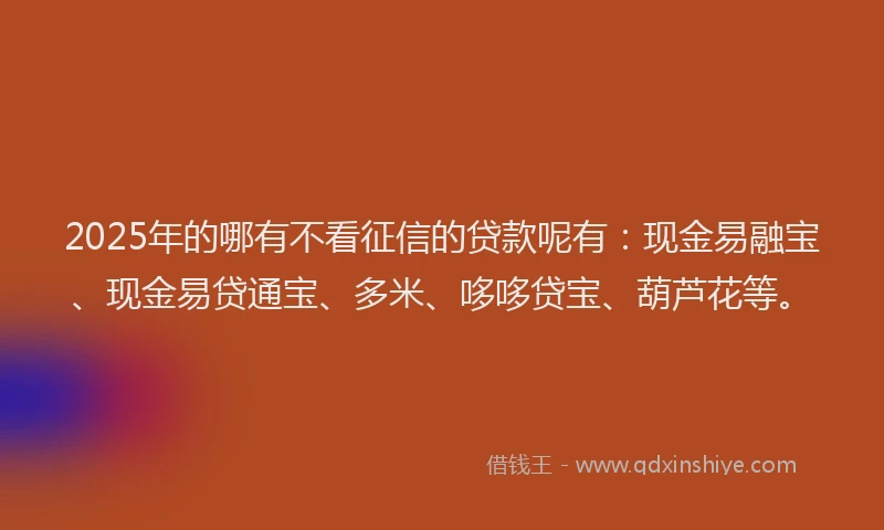 2025年的哪有不看征信的贷款呢有：现金易融宝、现金易贷通宝、多米、哆哆贷宝、葫芦花等。