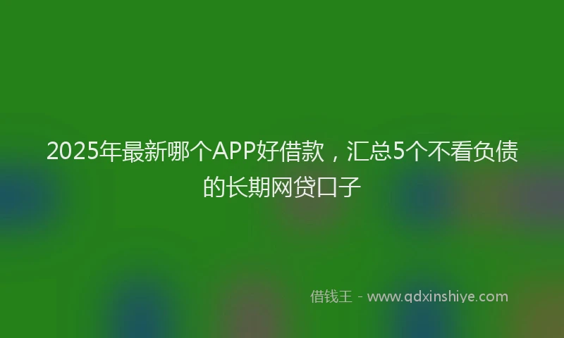 2025年最新哪个APP好借款，汇总5个不看负债的长期网贷口子
