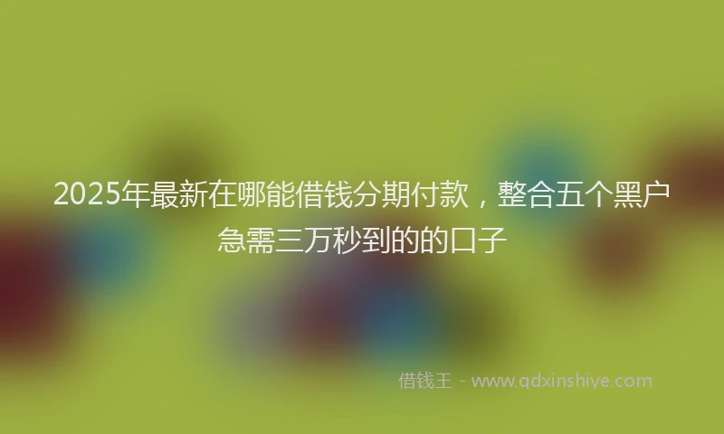 2025年最新在哪能借钱分期付款，整合五个黑户急需三万秒到的的口子