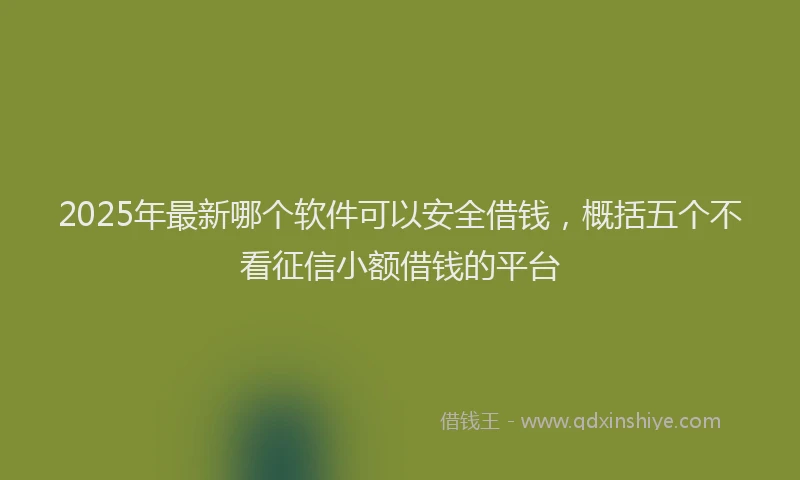 2025年最新哪个软件可以安全借钱，概括五个不看征信小额借钱的平台