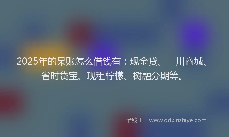 2025年的呆账怎么借钱有：现金贷、一川商城、省时贷宝、现租柠檬、树融分期等。