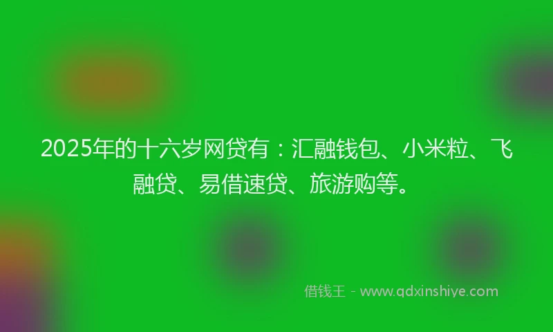 2025年的十六岁网贷有：汇融钱包、小米粒、飞融贷、易借速贷、旅游购等。