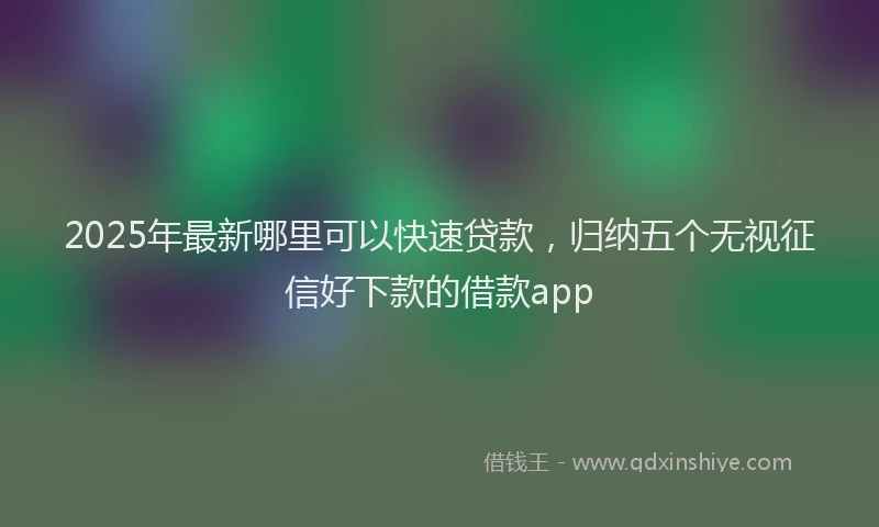 2025年最新哪里可以快速贷款，归纳五个无视征信好下款的借款app