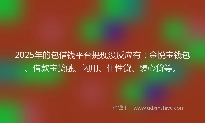 2025年的包借钱平台提现没反应有：金悦宝钱包、借款宝贷融、闪用、任性贷、臻心贷等。