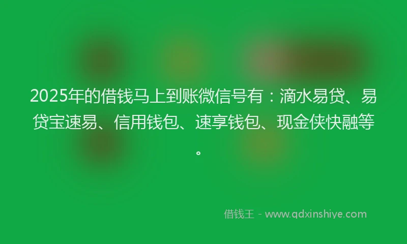 2025年的借钱马上到账微信号有：滴水易贷、易贷宝速易、信用钱包、速享钱包、现金侠快融等。