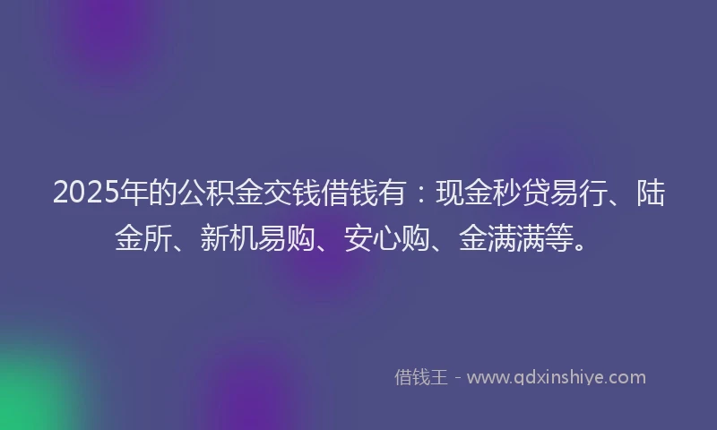 2025年的公积金交钱借钱有：现金秒贷易行、陆金所、新机易购、安心购、金满满等。