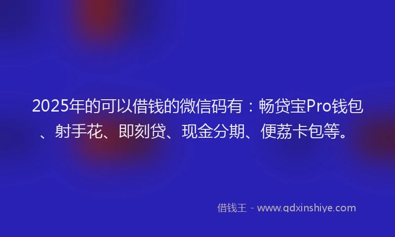 2025年的可以借钱的微信码有：畅贷宝Pro钱包、射手花、即刻贷、现金分期、便荔卡包等。