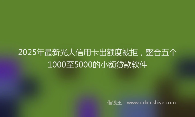 2025年最新光大信用卡出额度被拒，整合五个1000至5000的小额贷款软件