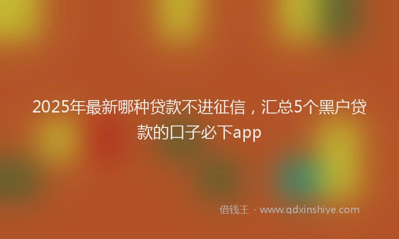 2025年最新哪种贷款不进征信，汇总5个黑户贷款的口子必下app