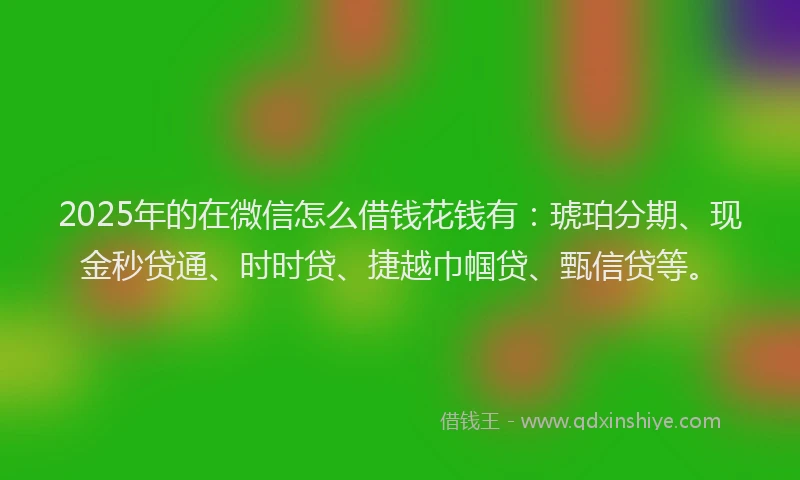 2025年的在微信怎么借钱花钱有：琥珀分期、现金秒贷通、时时贷、捷越巾帼贷、甄信贷等。