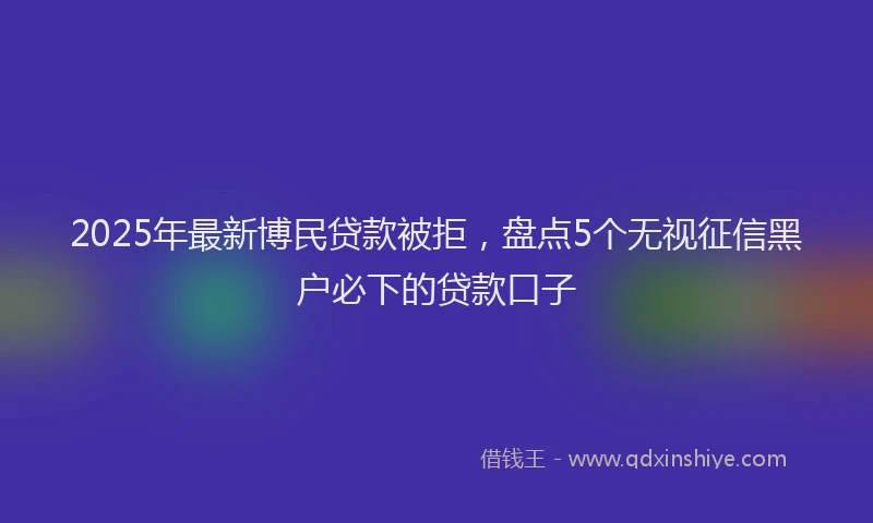2025年最新博民贷款被拒，盘点5个无视征信黑户必下的贷款口子
