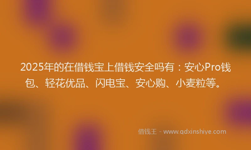 2025年的在借钱宝上借钱安全吗有：安心Pro钱包、轻花优品、闪电宝、安心购、小麦粒等。