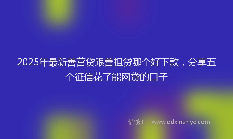 2025年最新善营贷跟善担贷哪个好下款，分享五个征信花了能网贷的口子