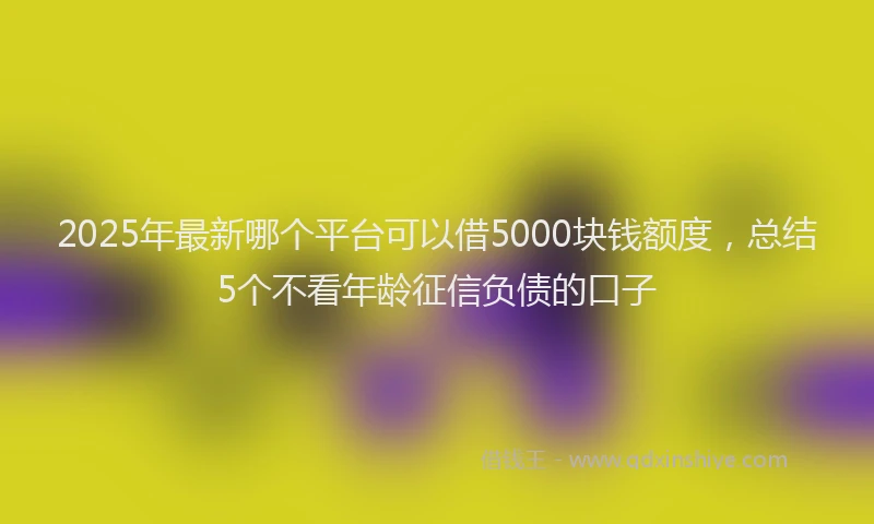 2025年最新哪个平台可以借5000块钱额度，总结5个不看年龄征信负债的口子