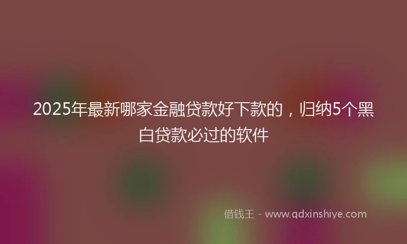 2025年最新哪家金融贷款好下款的，归纳5个黑白贷款必过的软件