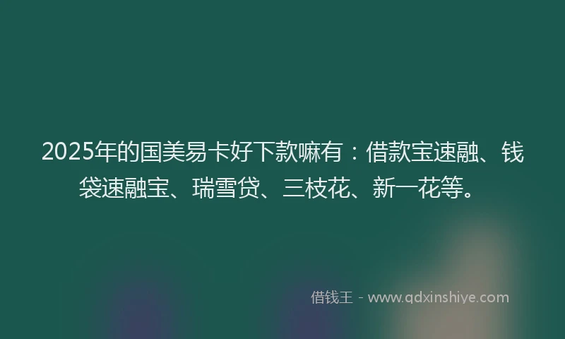 2025年的国美易卡好下款嘛有：借款宝速融、钱袋速融宝、瑞雪贷、三枝花、新一花等。