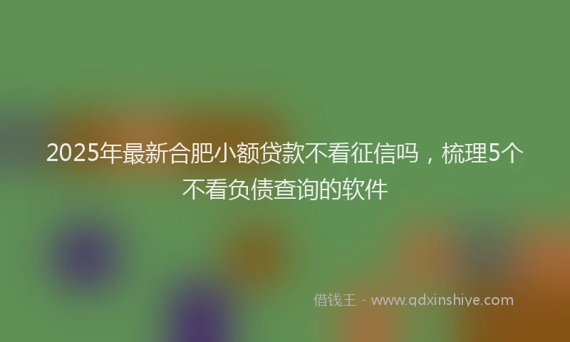 2025年最新合肥小额贷款不看征信吗，梳理5个不看负债查询的软件