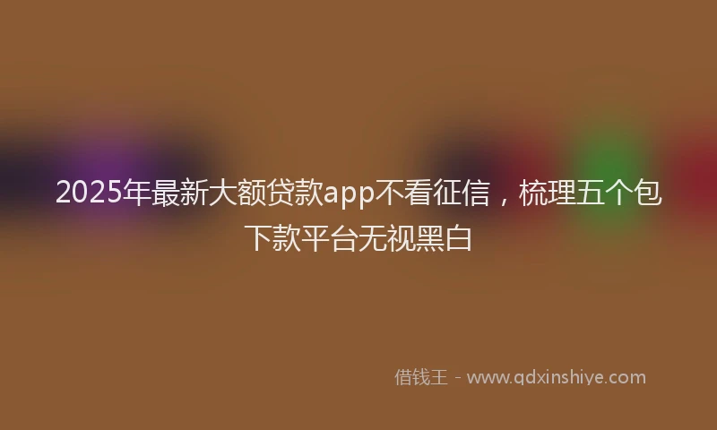 2025年最新大额贷款app不看征信，梳理五个包下款平台无视黑白