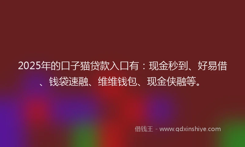 2025年的口子猫贷款入口有：现金秒到、好易借、钱袋速融、维维钱包、现金侠融等。