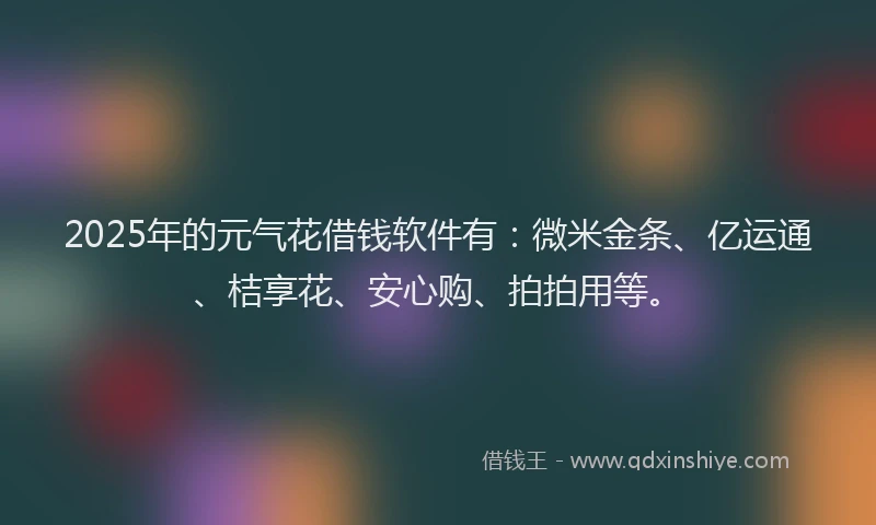 2025年的元气花借钱软件有：微米金条、亿运通、桔享花、安心购、拍拍用等。