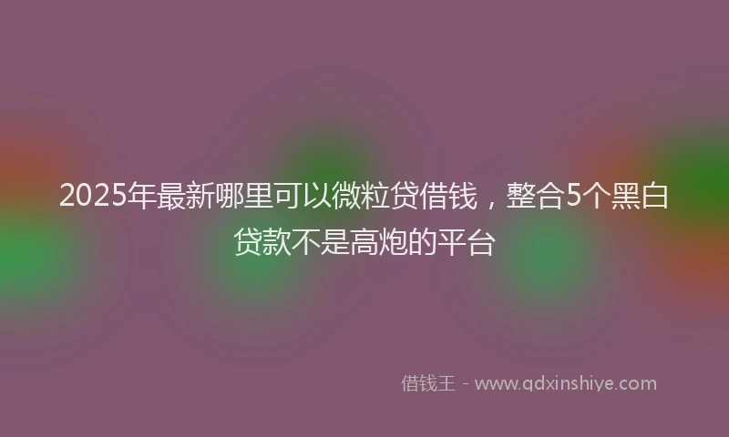 2025年最新哪里可以微粒贷借钱，整合5个黑白贷款不是高炮的平台