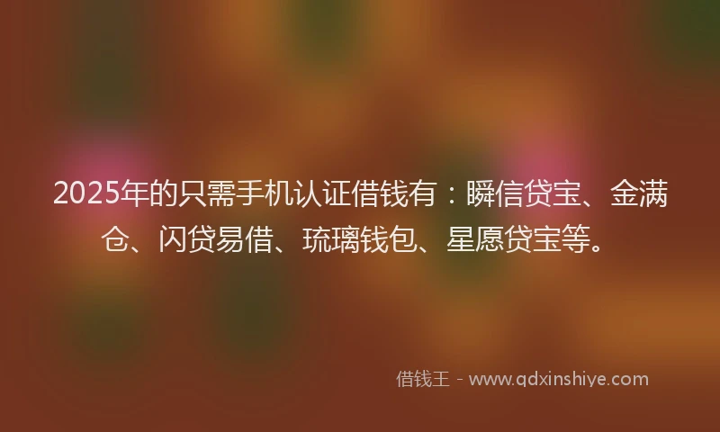 2025年的只需手机认证借钱有：瞬信贷宝、金满仓、闪贷易借、琉璃钱包、星愿贷宝等。