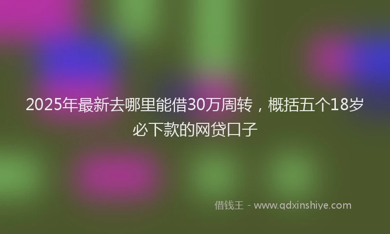 2025年最新去哪里能借30万周转，概括五个18岁必下款的网贷口子