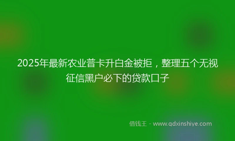 2025年最新农业普卡升白金被拒，整理五个无视征信黑户必下的贷款口子