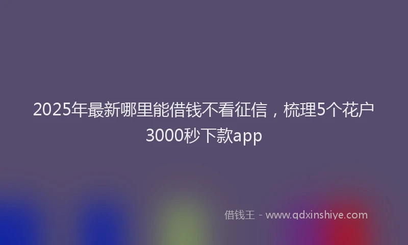 2025年最新哪里能借钱不看征信，梳理5个花户3000秒下款app