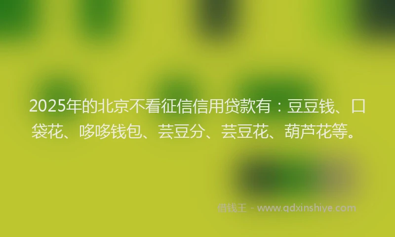 2025年的北京不看征信信用贷款有：豆豆钱、口袋花、哆哆钱包、芸豆分、芸豆花、葫芦花等。