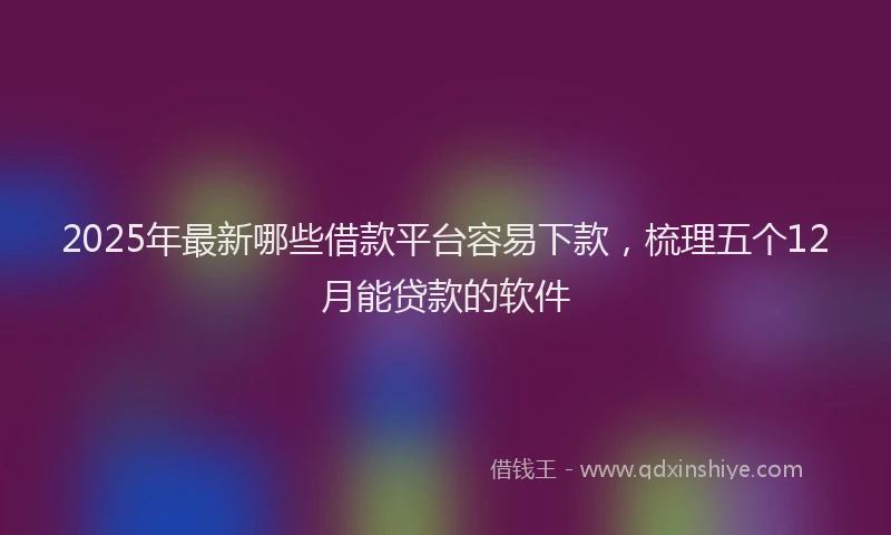 2025年最新哪些借款平台容易下款，梳理五个12月能贷款的软件