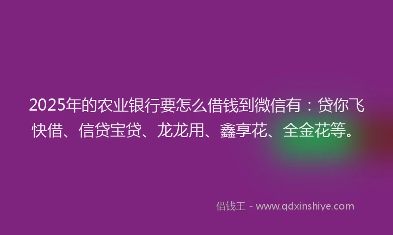 2025年的农业银行要怎么借钱到微信有：贷你飞快借、信贷宝贷、龙龙用、鑫享花、全金花等。