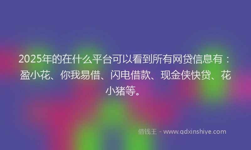2025年的在什么平台可以看到所有网贷信息有：盈小花、你我易借、闪电借款、现金侠快贷、花小猪等。