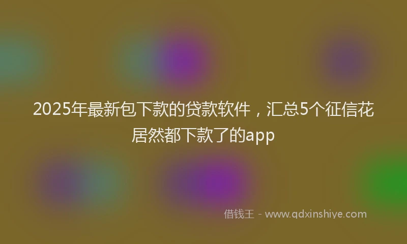 2025年最新包下款的贷款软件，汇总5个征信花居然都下款了的app