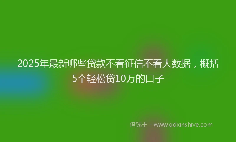 2025年最新哪些贷款不看征信不看大数据，概括5个轻松贷10万的口子