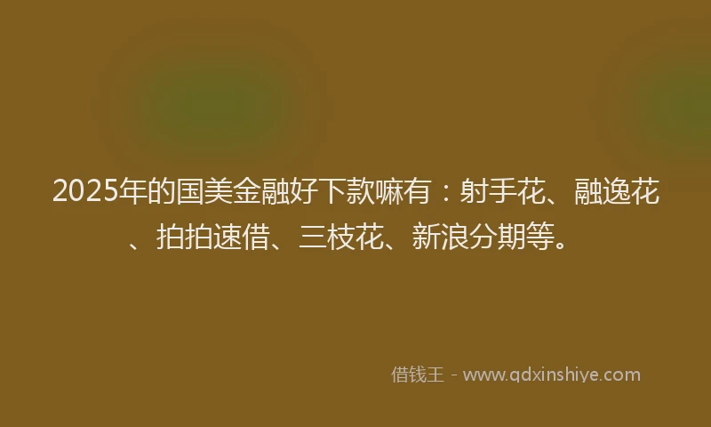 2025年的国美金融好下款嘛有：射手花、融逸花、拍拍速借、三枝花、新浪分期等。