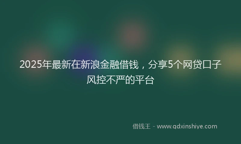 2025年最新在新浪金融借钱，分享5个网贷口子风控不严的平台