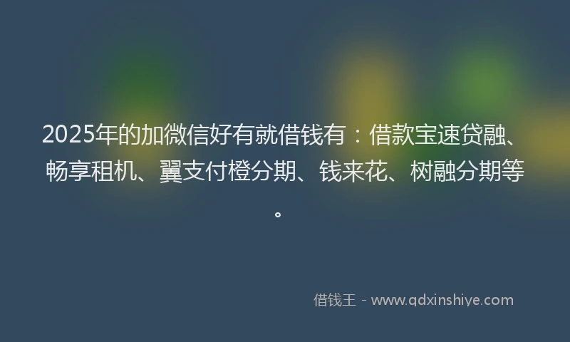 2025年的加微信好有就借钱有：借款宝速贷融、畅享租机、翼支付橙分期、钱来花、树融分期等。