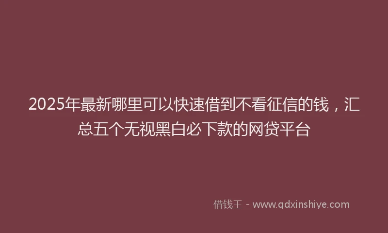 2025年最新哪里可以快速借到不看征信的钱，汇总五个无视黑白必下款的网贷平台