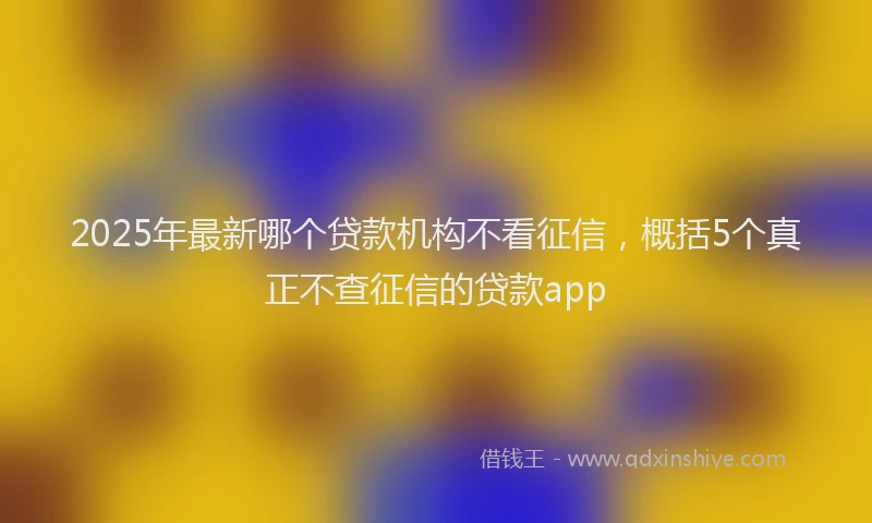 2025年最新哪个贷款机构不看征信，概括5个真正不查征信的贷款app