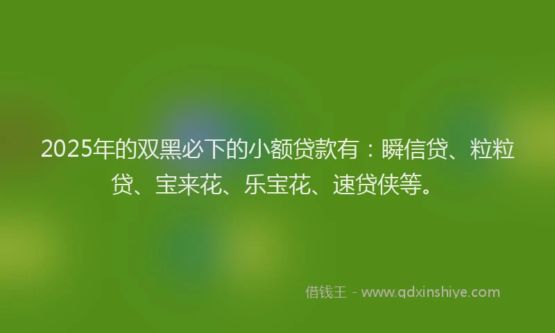 2025年的双黑必下的小额贷款有：瞬信贷、粒粒贷、宝来花、乐宝花、速贷侠等。