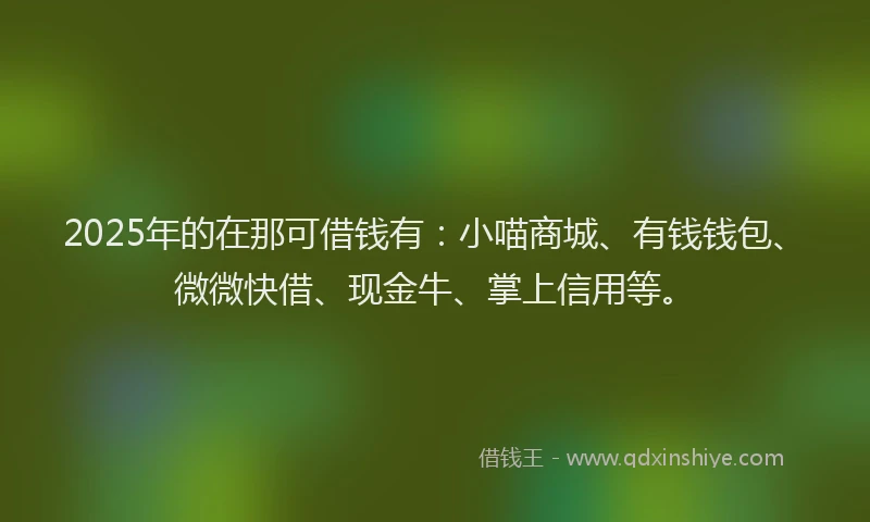 2025年的在那可借钱有：小喵商城、有钱钱包、微微快借、现金牛、掌上信用等。